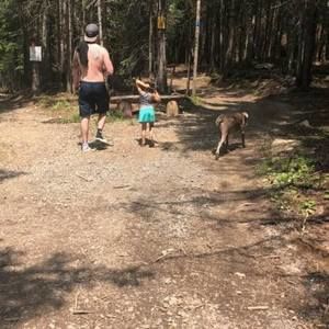 Meet your Posher, Bryn